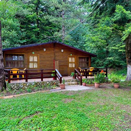 Вилла Uji I Panjes Llogara Влёра Экстерьер фото